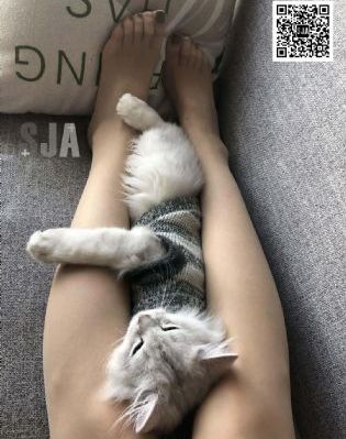 91精品国产综合久久香蕉的特点_BD英语高清完整版