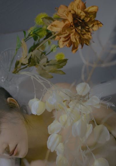 蜜桃视频app在线观看入口的播放_BT磁力天堂在线观看高清
